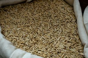 В Татарстане начался мониторинг качества зерна